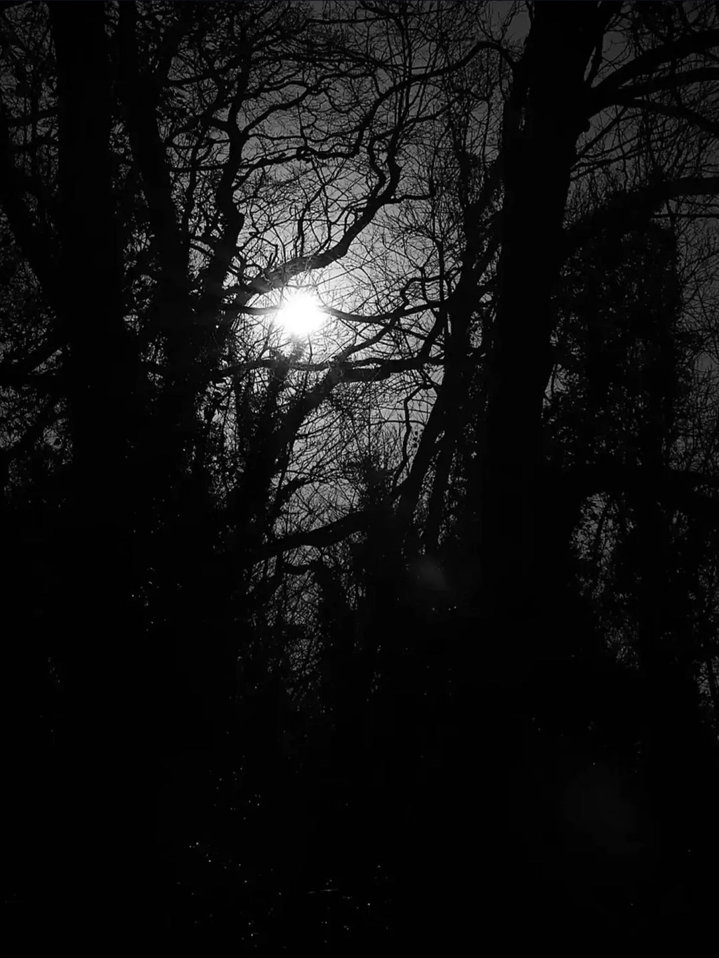 Light Trough The Darkness A2