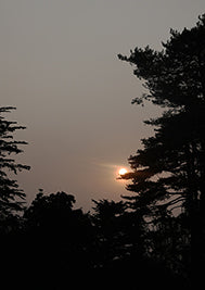 A Wicklow Sunset A2 - No.2