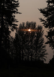A Wicklow Sunset A2- No.1