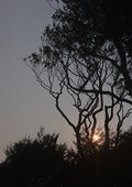 A Wexford Sunset A2 - No.3