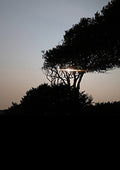 A Wexford Sunset A2- No.1