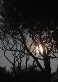 A Wexford Sunset A2 - No.2