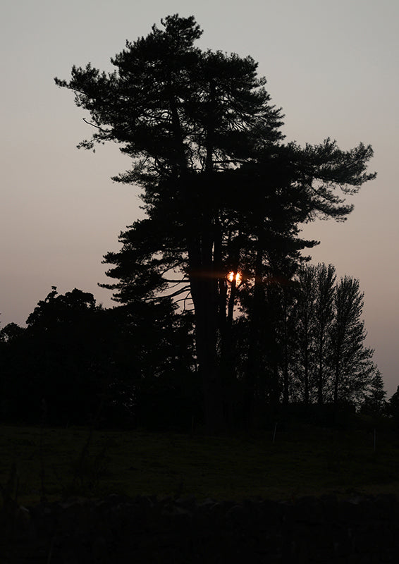A Wicklow Sunset A2 - No.3