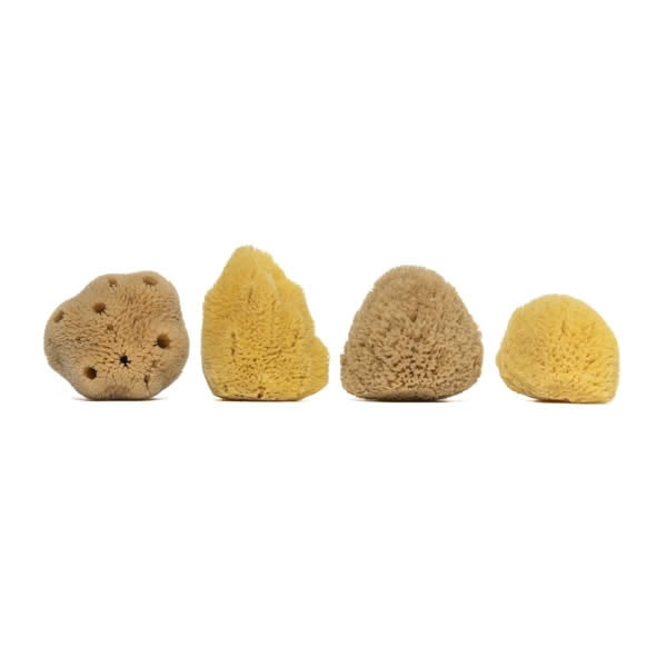 100% Natural Sea Sponge 